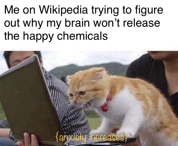 f71okkdwn_2405