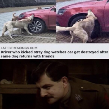 GqVSIjPH8