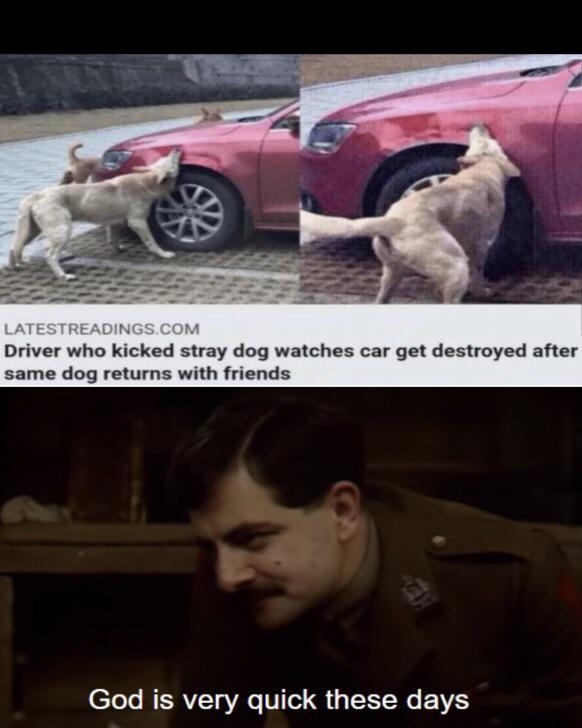 gqvsijph8_1930