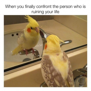 tQDPwYYEM