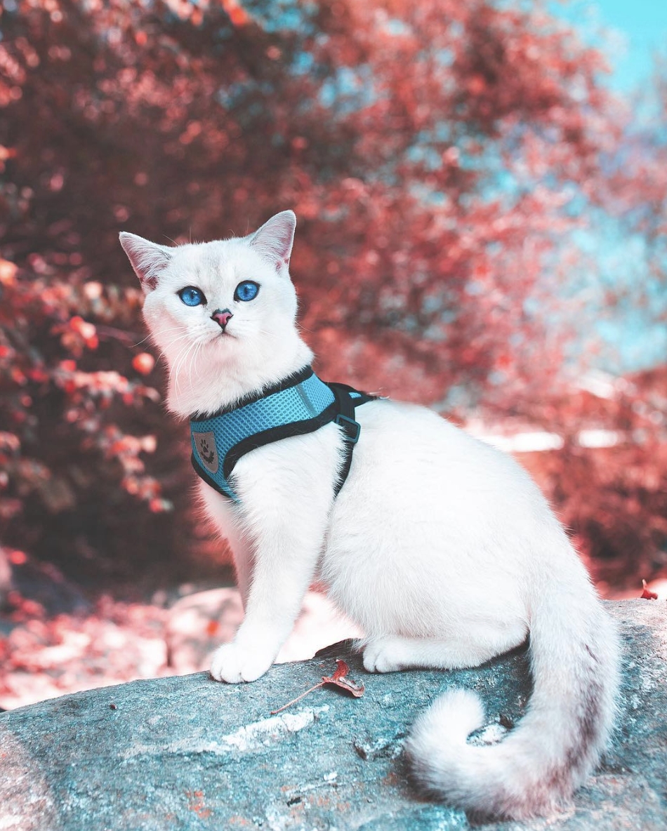 y6qhkt9qx_2511