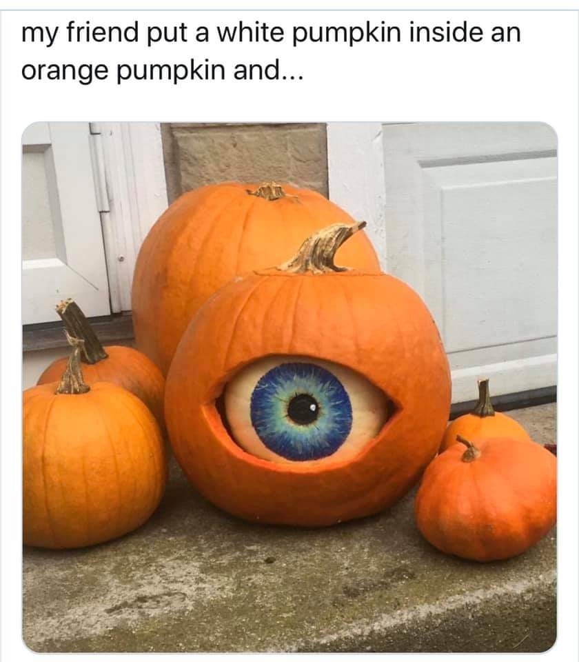 dwlujfqdy_4580