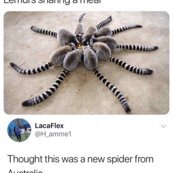 EwkTamd56