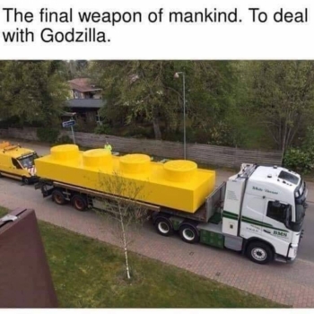 k393gnsZp