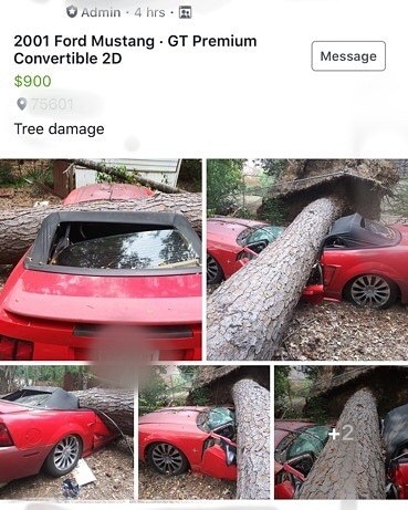 vols0rgnd_4704