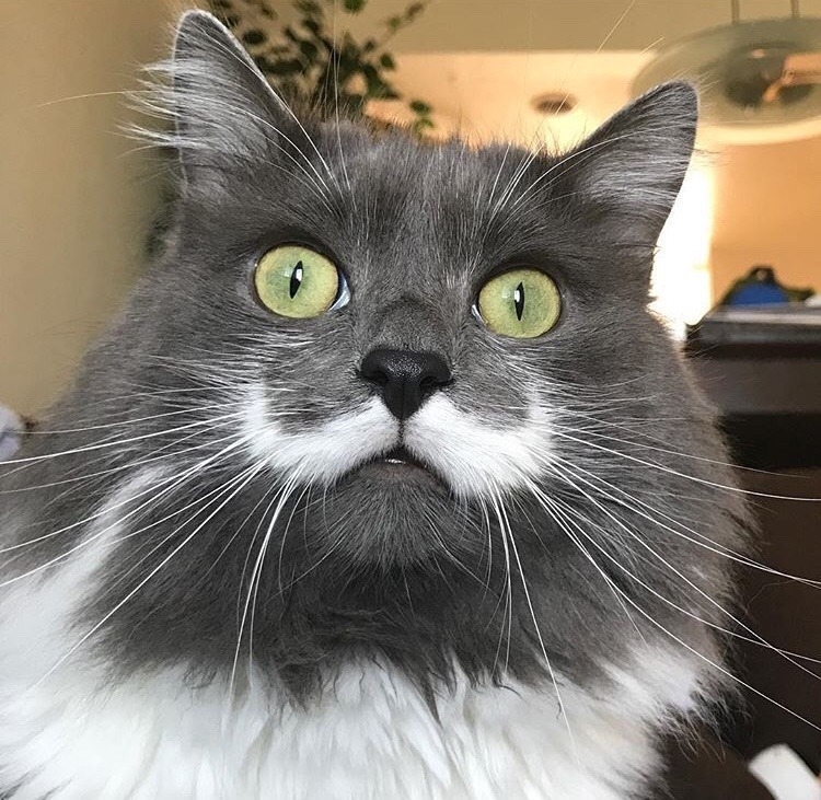 qwsikdiuh_6859