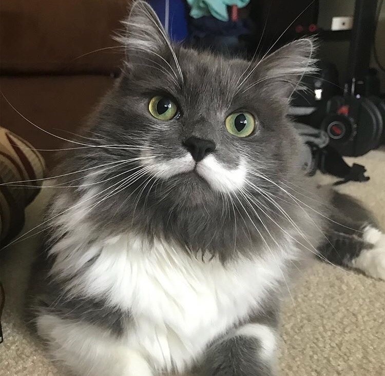 qwsikdiuh_6855