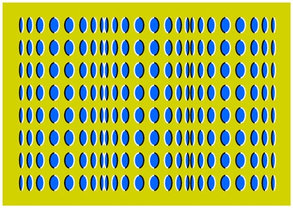 1x8bzcuvt_7417