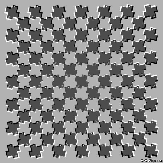 1x8bzcuvt_7420