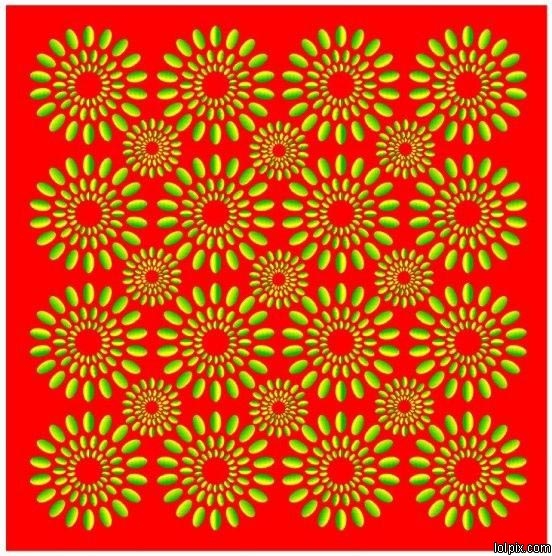 1x8bzcuvt_7424