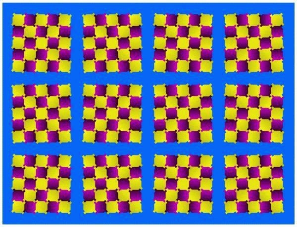1x8bzcuvt_7425