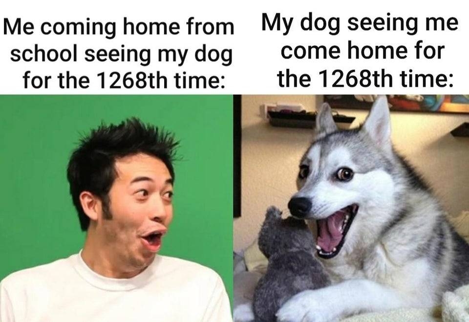 e6s0glztq_8828