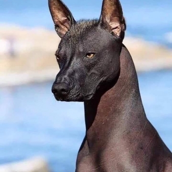 FI2TUi3rq