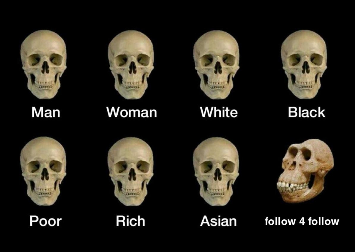 h1xzkxdva_10870