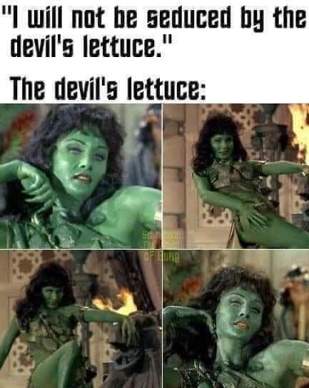 d4yjzhk2t_11773