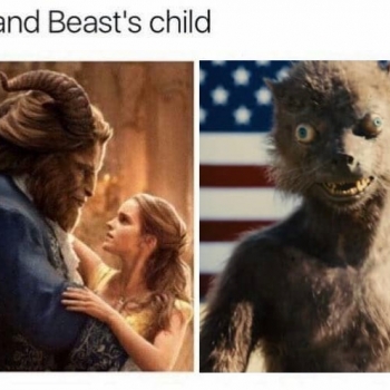 VI6vPHsn6