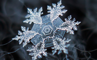 AlexeyKljatovSnowflakes