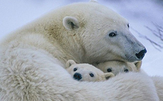 NationalGeographicInstagram