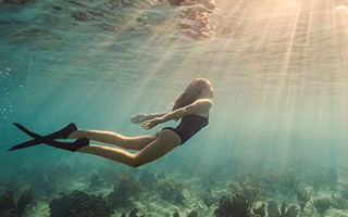 UnderwaterPhotography