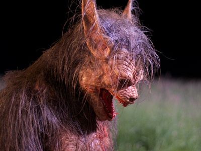 review-late-phases-2014-324087